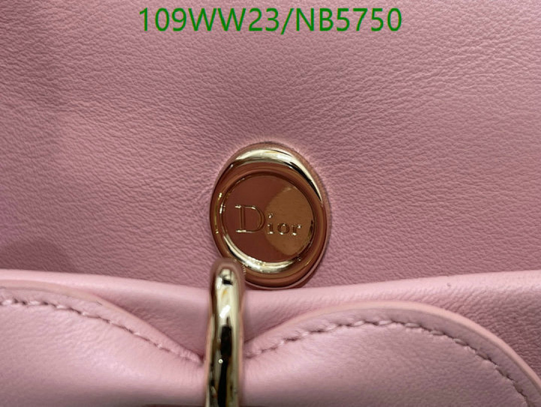 Dior-Bag-4A Quality Code: NB5750 