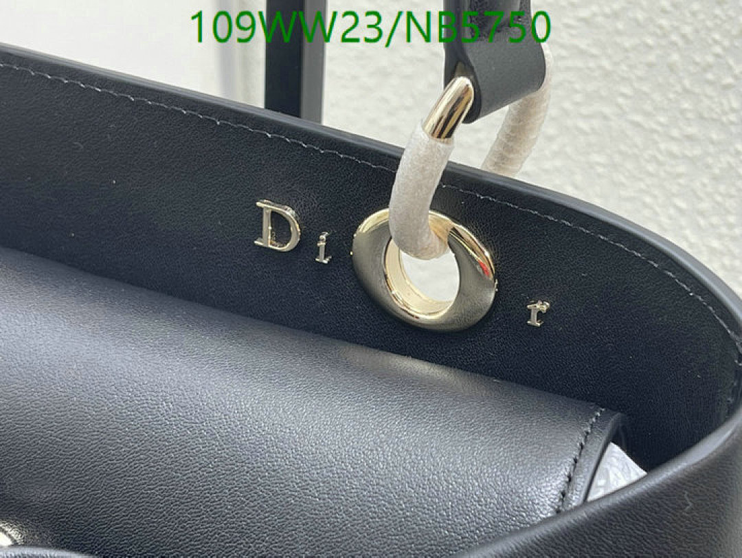 Dior-Bag-4A Quality Code: NB5750 