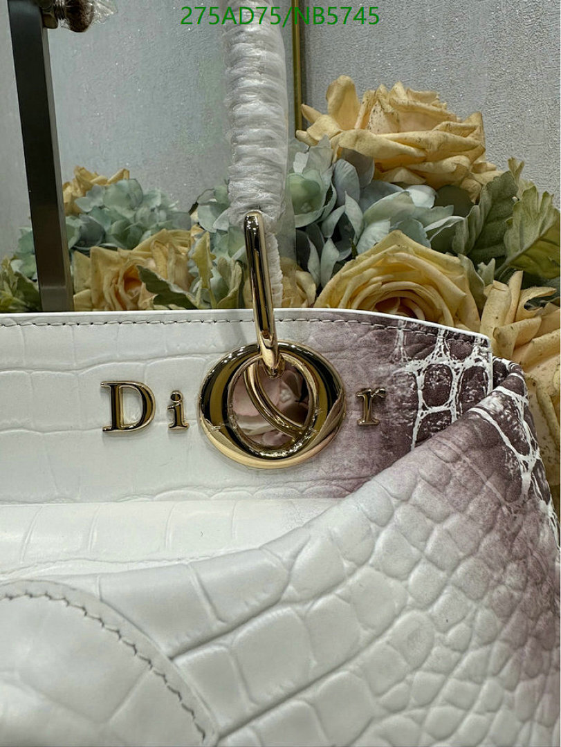 Dior-Bag-Mirror Quality Code: NB5745 